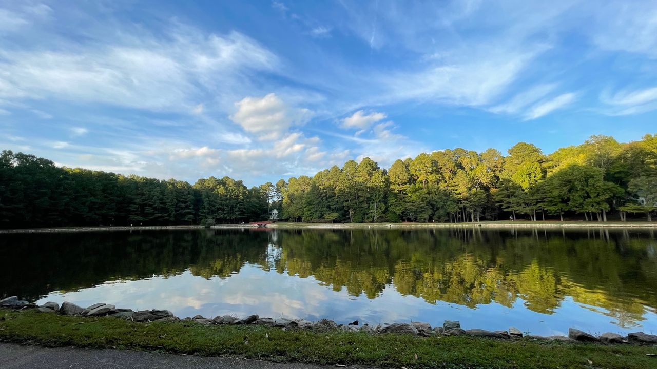 NC pine lake reflection